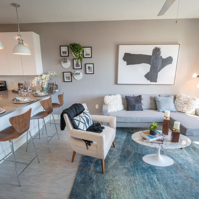 Anthem on Ashley - Carpeted Living Room